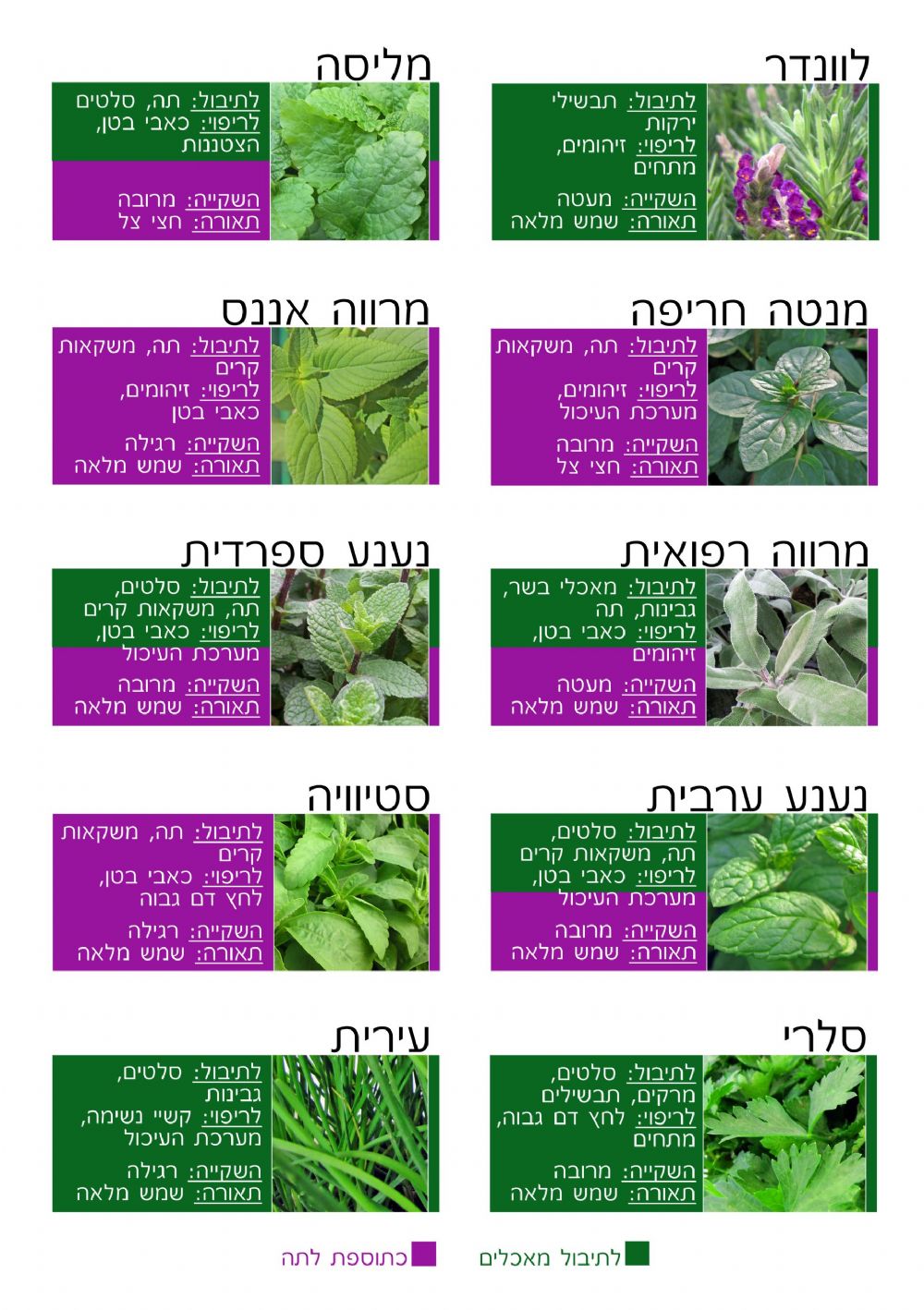 תבלינים ל'-ע'
