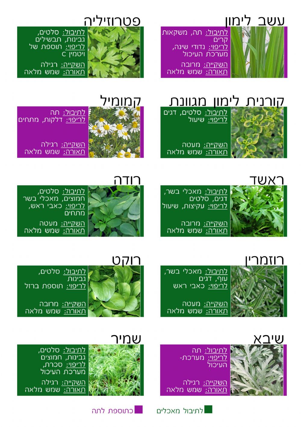 תבלינים ע'-ש'