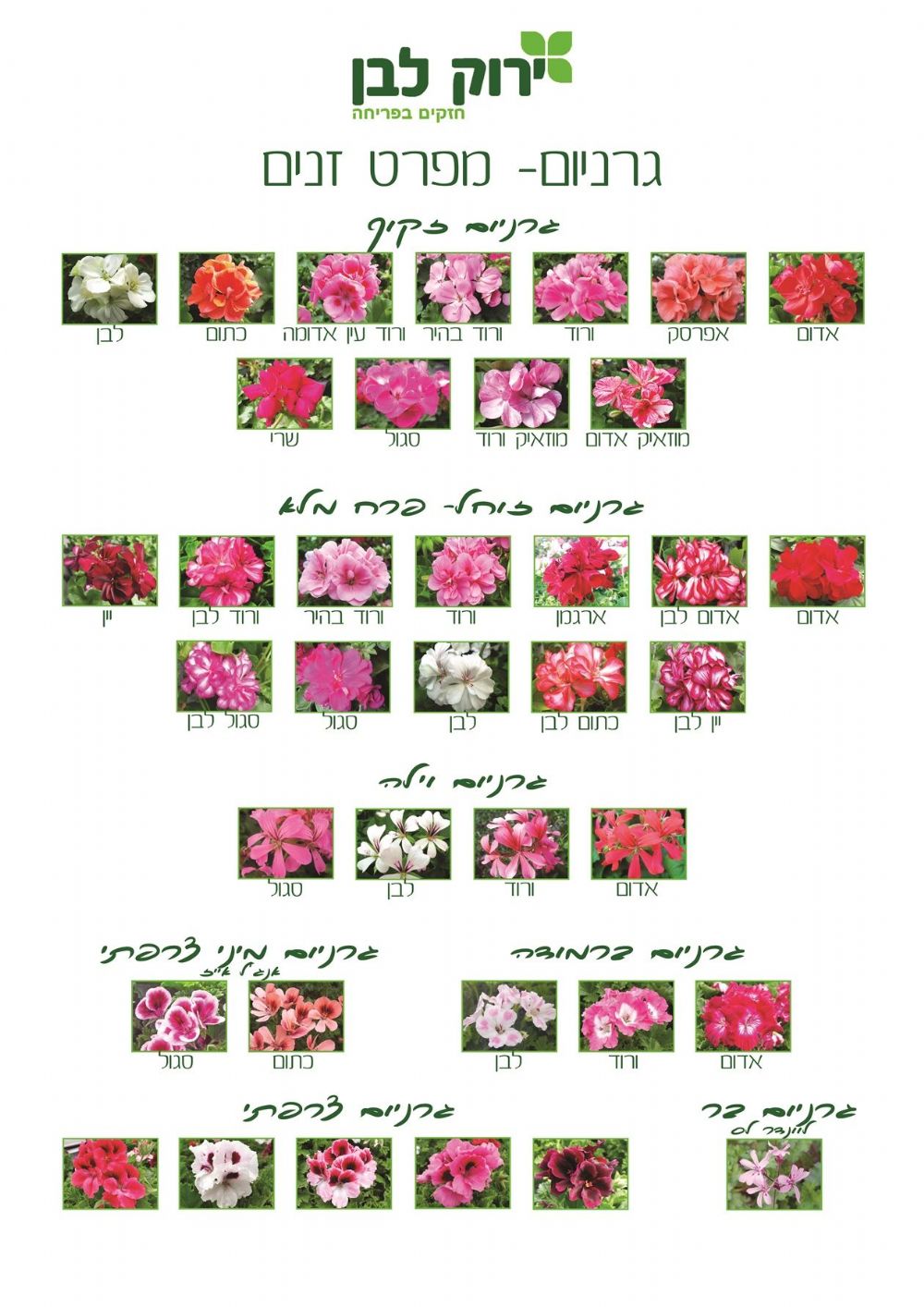 גרניום